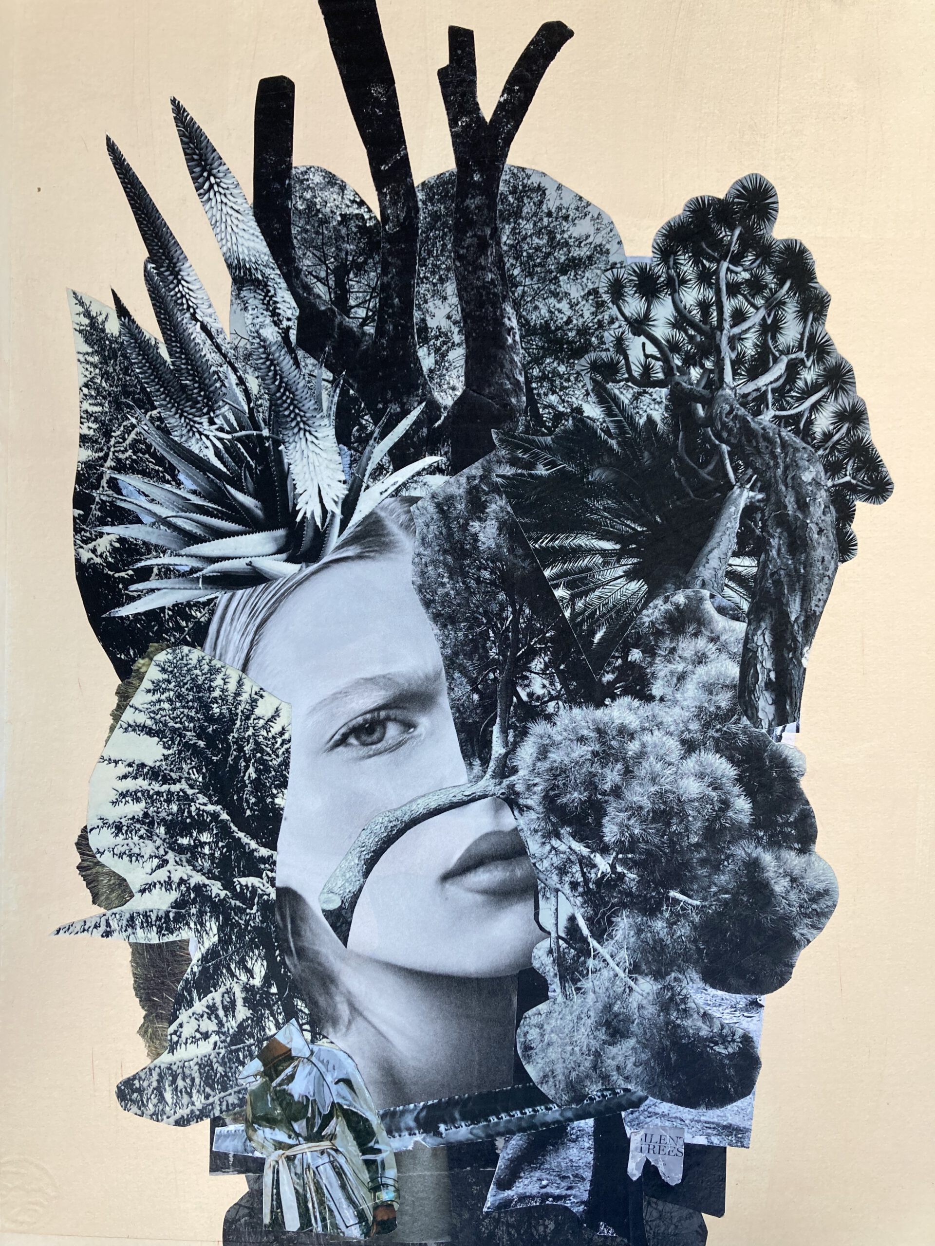 Your Head in the Trees